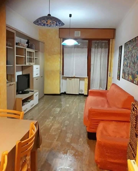 immagine annuncio 4 di 14