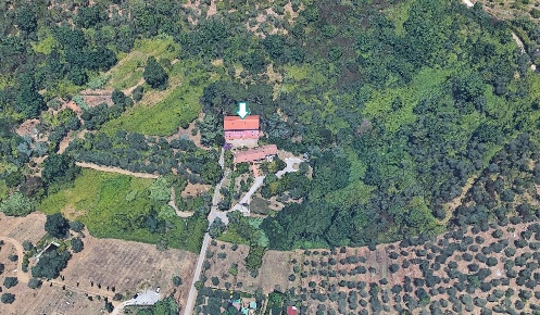 Foto Appartamento a Vecchiano di 696 m² con 7 locali in vendita