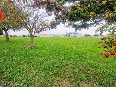 Foto Terreno edificabile a Cimadolmo di 4668 m² in vendita