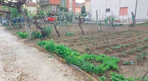 immagine annuncio 12 di 15