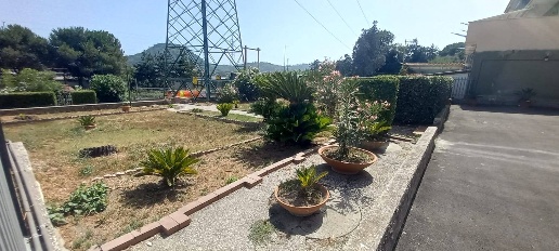 immagine annuncio 9 di 12