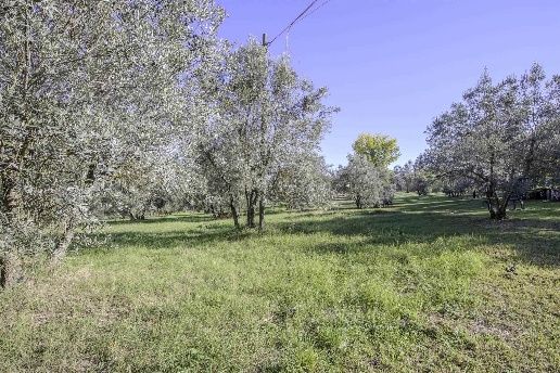 immagine annuncio 4 di 8