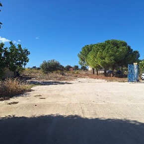 Foto Capannone industriale a Mazara del Vallo Via Marsala, Piazza Macello