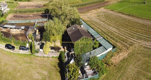 Foto Cessione attività in via zocchi, Samolaco di 370 m² con 5 locali