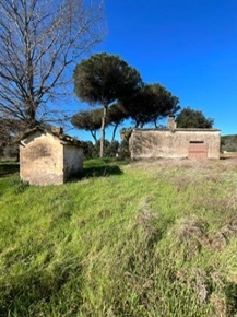 Foto Terreno edificabile a Nettuno Cioccati, Zucchetti in vendita