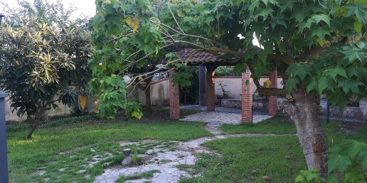 immagine annuncio 7 di 12