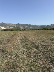 Foto Terreno agricolo a Anagni in vendita