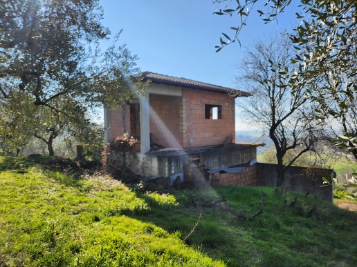immagine annuncio 6 di 7