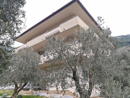 immagine annuncio 1 di 8