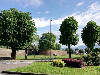Foto Appartamento in Piazza San Michele 46, Lucca di 150 m² con 10 locali