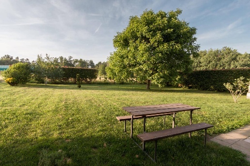 immagine annuncio 3 di 9