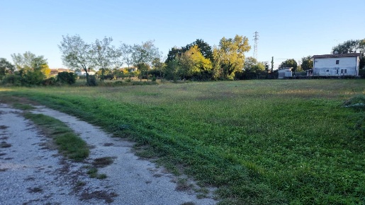 Foto Terreno agricolo a Turriaco di 4388 m² in vendita