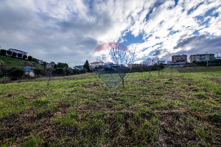 Foto Terreno residenziale a Loreto Centro di 3880 m² in vendita