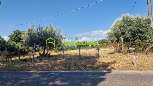 Foto Terreno residenziale in COLLE OSPEDALE, Velletri Centro di 4700 m²