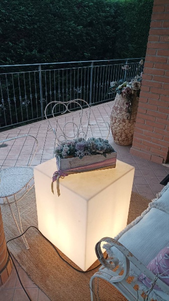 immagine annuncio 11 di 15