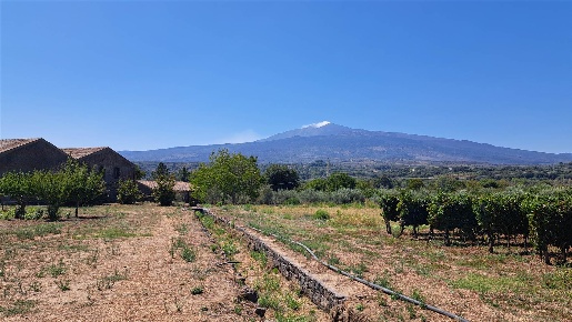 Foto Cessione attività a Castiglione di Sicilia Solicchiata con 20 locali