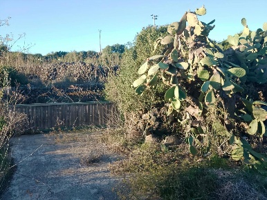 Foto Rustico in Contrada Bonsulton SNC, Pantelleria di 100 m² con 3 locali