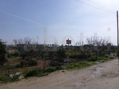 Foto Terreno residenziale in Gallipoli, Copertino di 837 m² in vendita