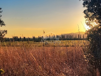 Foto Terreno agricolo in VALLEROTANA, Grosseto Braccagni di 20000 m²