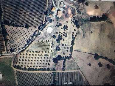 Foto Terreno residenziale in POGGIO LA MOZZA, Grosseto Rispescia di 120 m²