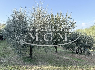 Foto Terreno agricolo a Santa Maria a Monte Cerretti di 8570 m² in vendita