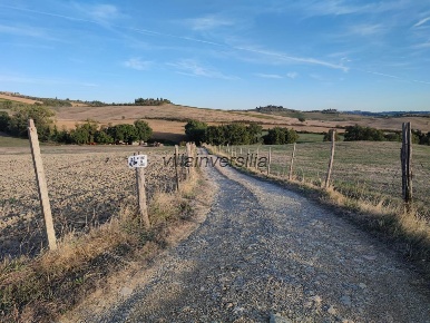 Foto Terreno agricolo a Castellina in Chianti in vendita