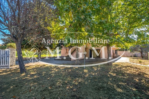 immagine annuncio 0 di 15