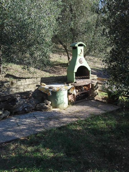 immagine annuncio 3 di 8