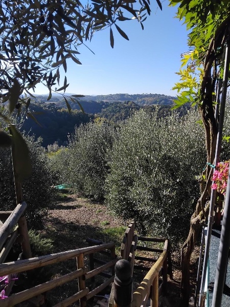 immagine annuncio 5 di 8