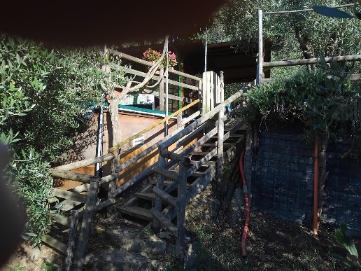immagine annuncio 6 di 8