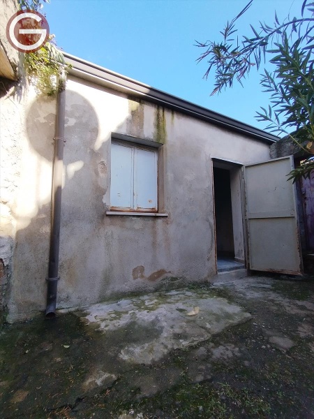 immagine annuncio 2 di 14