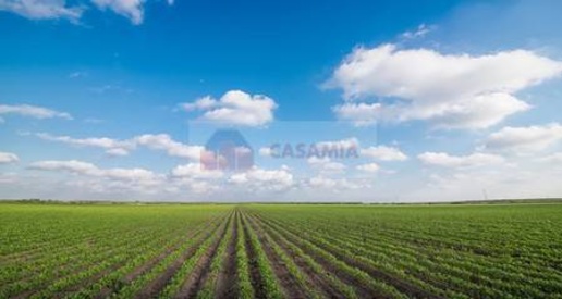 Foto Terreno agricolo in Gaiarine, Gaiarine Albina di 20853 m² in vendita