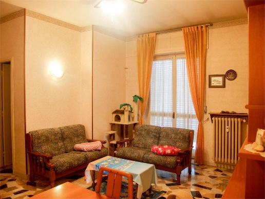 immagine annuncio 1 di 14