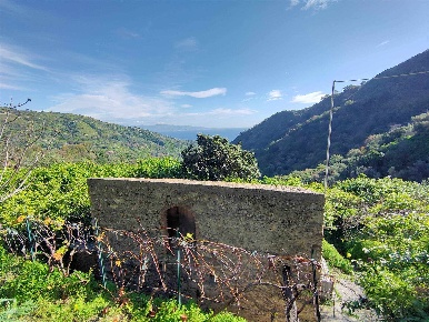 Foto Terreno agricolo a Fiumedinisi di 3689 m² in vendita