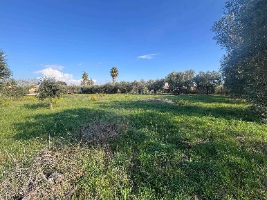 Foto Terreno agricolo in via cristallo, Anzio Spadellata - Cinque Miglia
