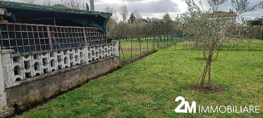 immagine annuncio 2 di 14