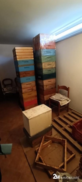 immagine annuncio 13 di 14