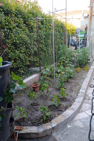 immagine annuncio 8 di 9