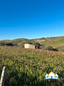 Foto Terreno edificabile in CONTRADA VIRGINI, Alcamo di 20000 m² in vendita