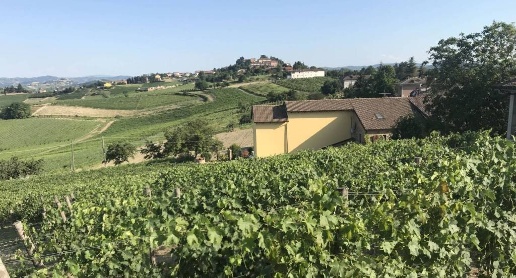 Foto Rustico in Regione San Rocco, Agliano Terme di 336 m² con 10 locali