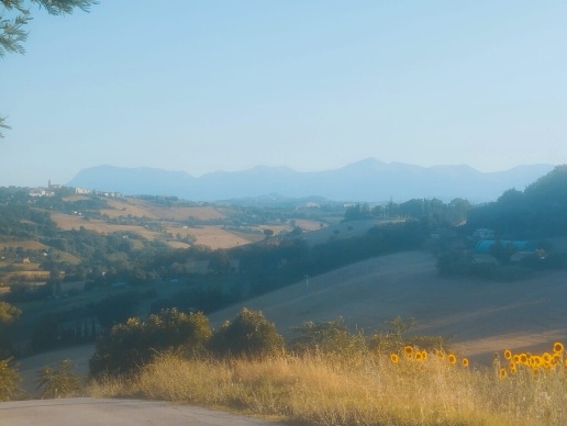 immagine annuncio 1 di 2