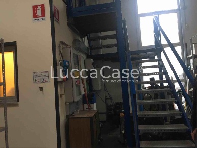 Foto Capannone industriale a Capannori Massa Macinaia - San Leonardo