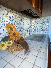 Foto Appartamento a Santa Maria a Monte Montecalvoli di 50 m² con 2 locali