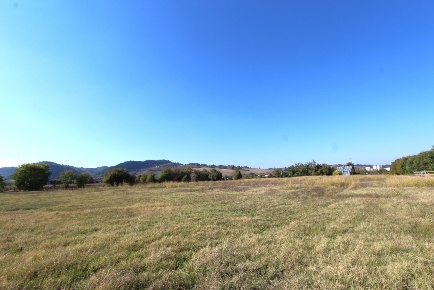 Foto Terreno industriale in Via Cassola, Valsamoggia Corallo Sveglia