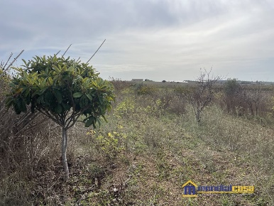 Foto Terreno in C.da Burgio Fontanelle, Noto di 6980 m² in vendita