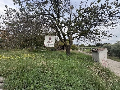 Foto Terreno agricolo in Via Tenutella, Albano Laziale Pavona di 150 m²