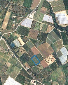 Foto Terreno agricolo a Policoro di 4300 m² in vendita