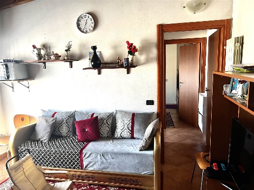 immagine annuncio 3 di 14