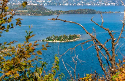 immagine annuncio 9 di 13