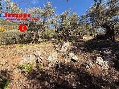 Foto Terreno agricolo in Via Veccio 52, Roccarainola Centro di 12022 m²